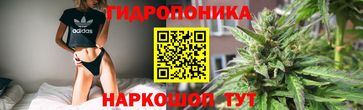 Конопля сатива  Вход с VPN  Канабис тримм  Марихуана White Widow  Анжеро-Судженск 